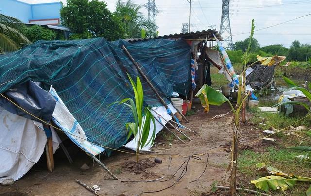 Cà Mau: Chiếm đất nông nghiệp trái phép bị xử phạt 105 triệu đồng - Ảnh 2.