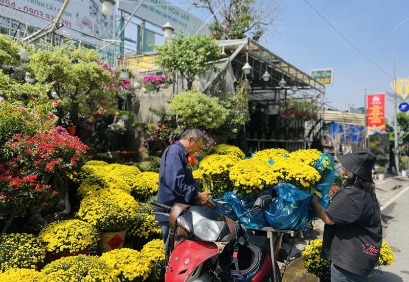 Người TP.HCM giải cứu hoa tết, cúc mâm xôi cho tết 2026 - Ảnh 8.