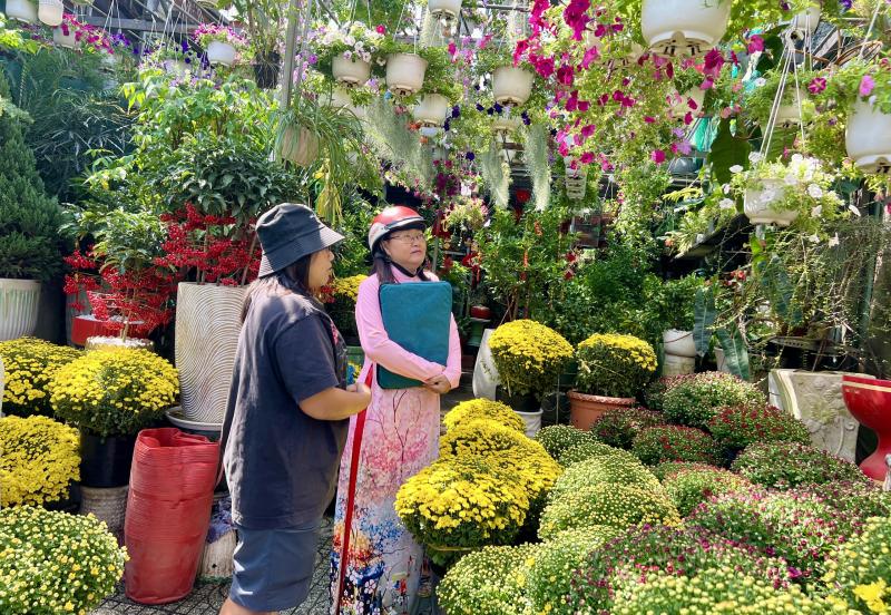 Người TP.HCM giải cứu hoa tết, cúc mâm xôi cho tết 2026 - Ảnh 2.