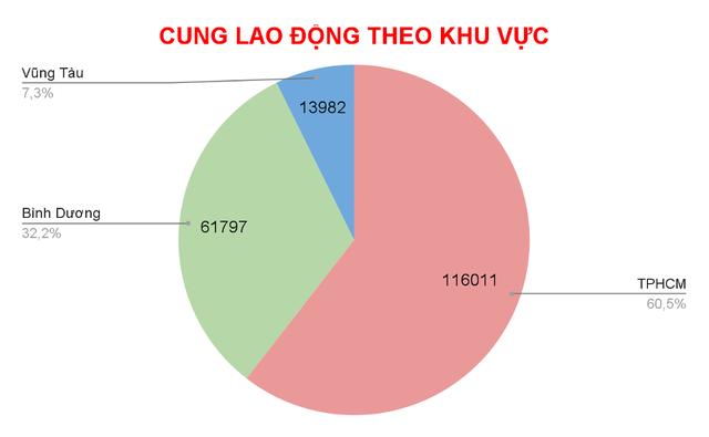 Thị trường việc làm ở TP.HCM sau khi sáp nhập tỉnh thành năm qua ra sao? - Ảnh 1.