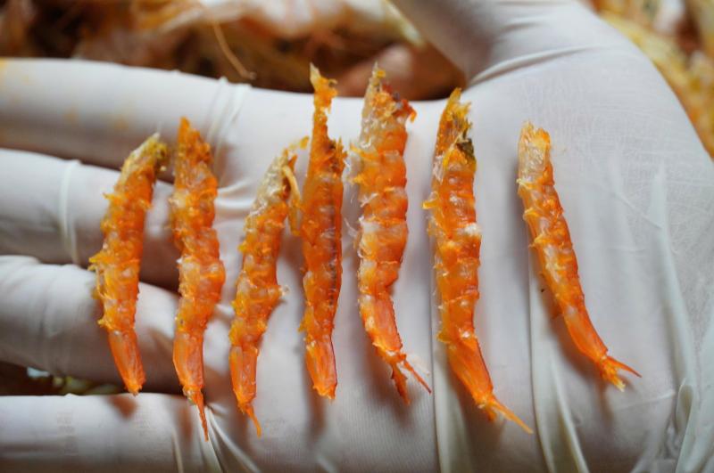 Dáng tôm khác biệt tạo nên tôm khô móng chim giá 1,5 triệu đồng/kg- Ảnh 5.