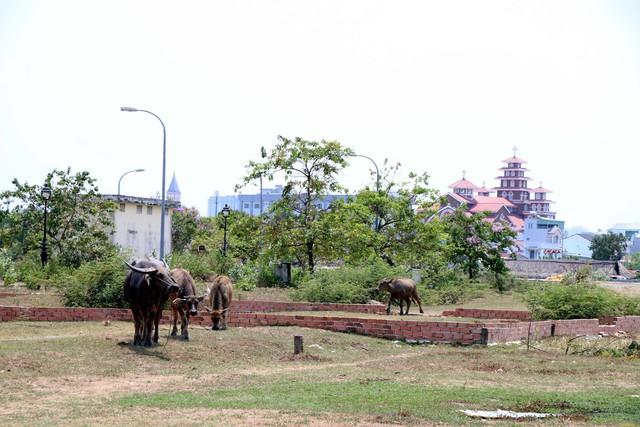 Hết thời bất động sản 'treo đầu dê, bán thịt chó'   - Ảnh 1.