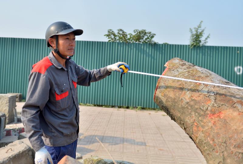Hà Nội: Hàng xà cừ cổ thụ bị cưa phục vụ dự án đường gần 3.400 tỉ - Ảnh 8.