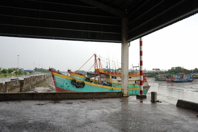 Đồng Tháp: Tàu cá giải bản có thể nhận hỗ trợ tối đa 350 triệu đồng- Ảnh 1.