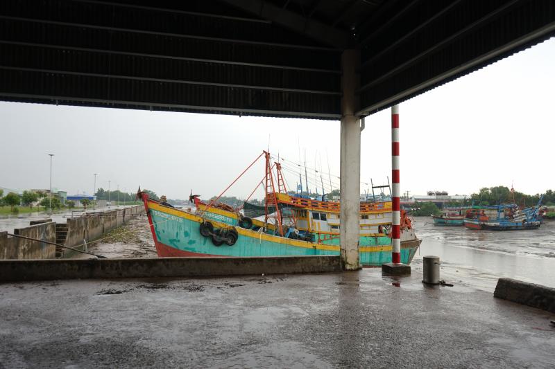 Xử lý nghiêm cán bộ nếu tàu cá không đủ điều kiện vẫn được 'ra khơi' - Ảnh 1.