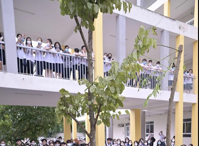 Trường học TP.HCM: Nơi quá tải, xuống cấp, nơi tuyển không đủ chỉ tiêu - Ảnh 5.
