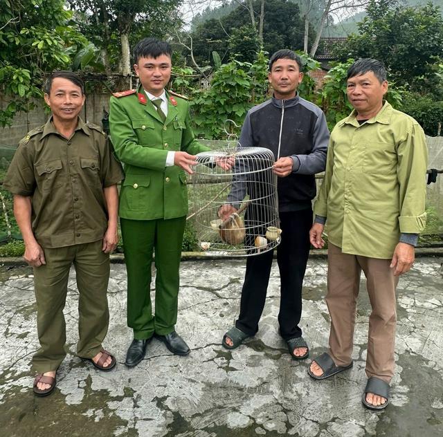 Cu li nhỏ nguy cấp, quý hiếm bất ngờ xuất hiện trong vườn keo của người dân - Ảnh 2.