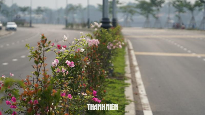 Đường ven sông Đồng Nai thông xe kỹ thuật, biệt thự 100 tuổi còn nguyên- Ảnh 9.
