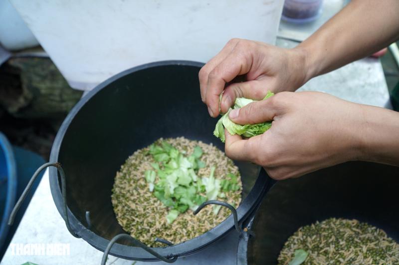 Sếu vương miện lần đầu sinh ở Thảo Cầm Viên: Con non lớn nhanh sau 4 tháng - Ảnh 6.