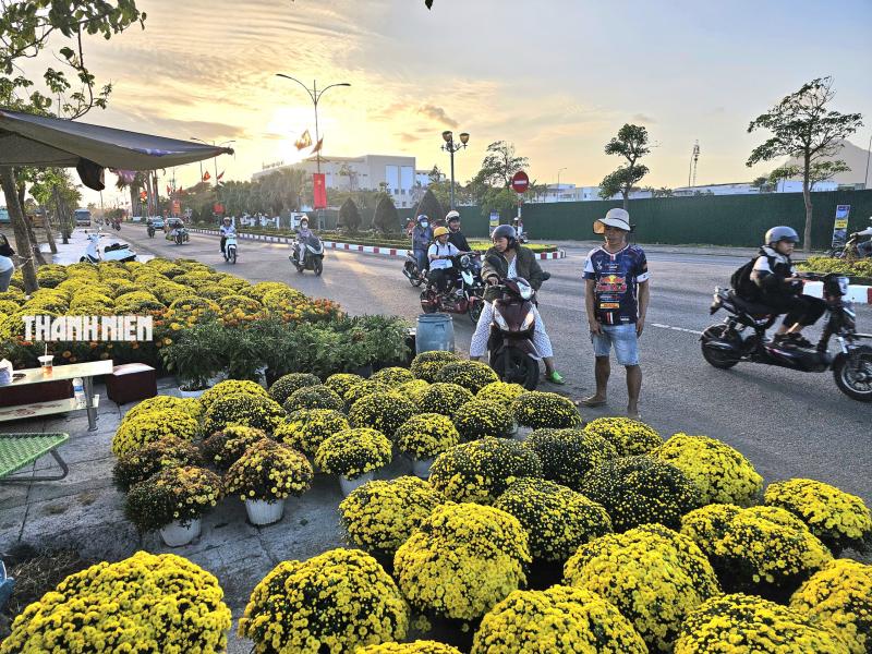 Hoa tết xuống phố: Nhà vườn giảm giá chia sẻ cùng người dân vui xuân sau lũ - Ảnh 2.