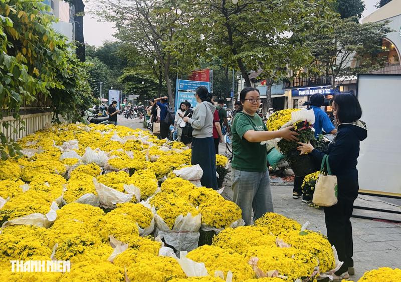 Người dân TP.HCM bất ngờ khi 1.000 chậu hoa tết được tặng miễn phí chiều nay- Ảnh 2.