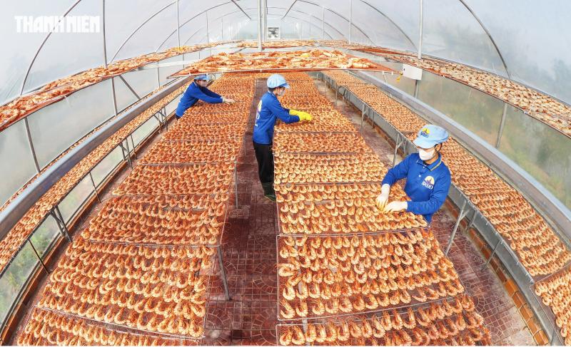 Tôm sú khô nguyên vỏ Cà Mau 'cháy hàng' dịp tết, giá 1,5 triệu/kg vẫn hút khách - Ảnh 7.