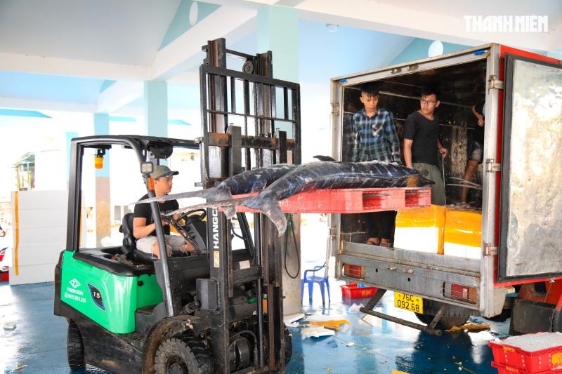Cảng cá Quảng Ngãi rộn ràng phiên biển cuối năm: Mệt mấy cũng vui- Ảnh 7.