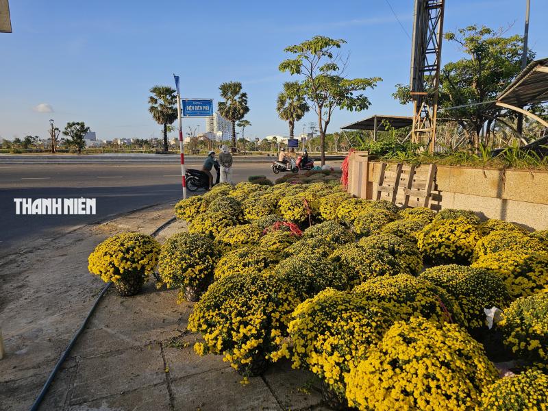 Hoa tết xuống phố: Nhà vườn giảm giá chia sẻ cùng người dân vui xuân sau lũ - Ảnh 6.