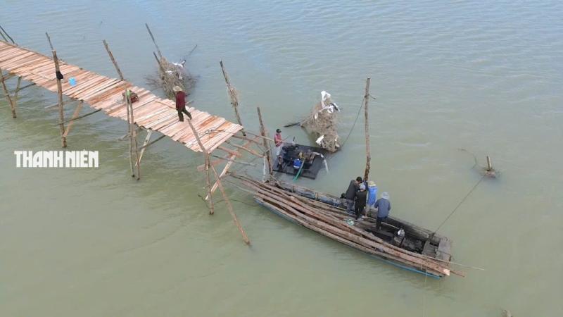 Cầu gỗ dài nhất Việt Nam hồi sinh: ‘Người nhái’ dựng lại Ông Cọp - Ảnh 8.