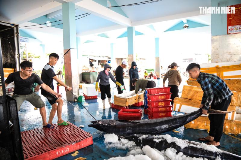Cảng cá Quảng Ngãi rộn ràng phiên biển cuối năm: Mệt mấy cũng vui- Ảnh 1.