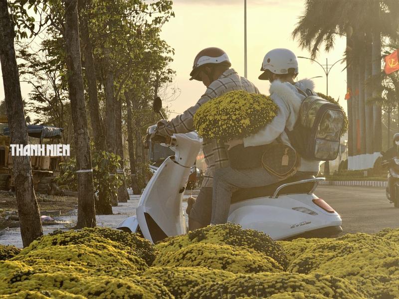 Hoa tết xuống phố: Nhà vườn giảm giá chia sẻ cùng người dân vui xuân sau lũ - Ảnh 8.