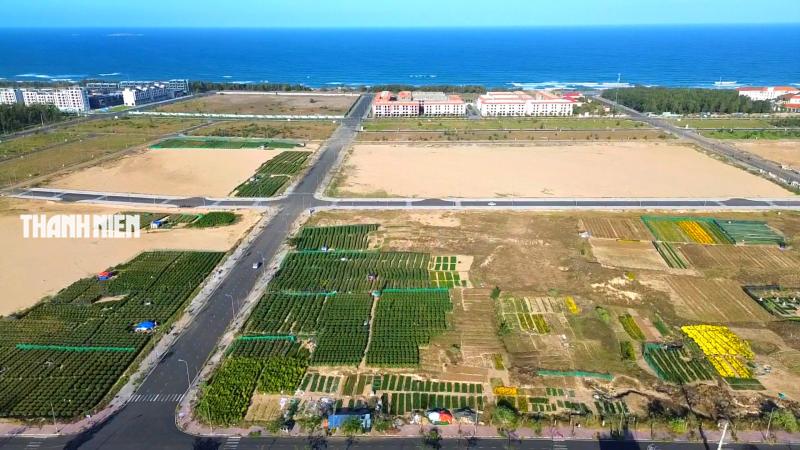 Hoa tết xuống phố: Nhà vườn giảm giá chia sẻ cùng người dân vui xuân sau lũ - Ảnh 1.