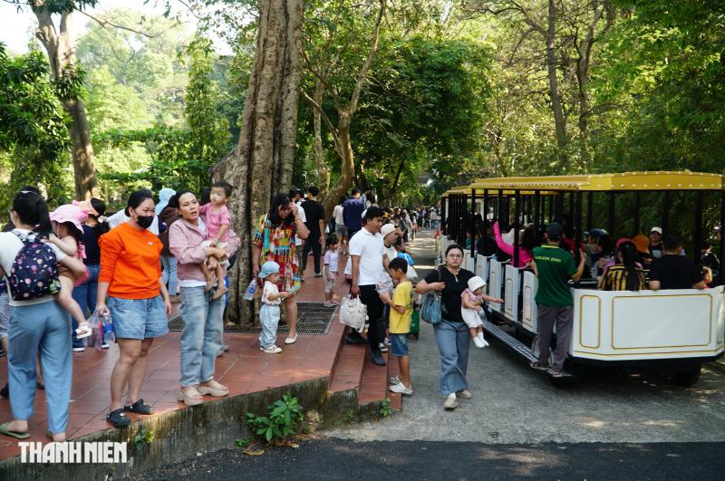 Ngày đầu năm mới 2026: Thảo Cầm Viên, đường sách đông nghẹt người đi chơi  - Ảnh 9.