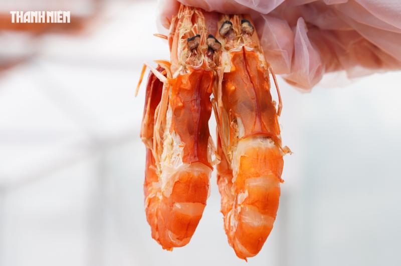 Tôm sú khô nguyên vỏ Cà Mau 'cháy hàng' dịp tết, giá 1,5 triệu/kg vẫn hút khách - Ảnh 8.