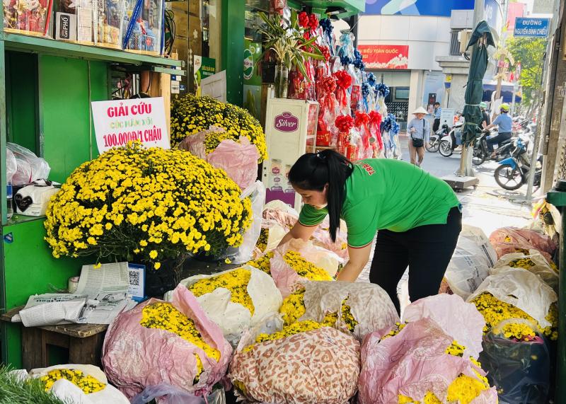 Giải cứu hoa tết ở TP.HCM giúp nông dân miền Tây: Câu chuyện bất ngờ - Ảnh 3.