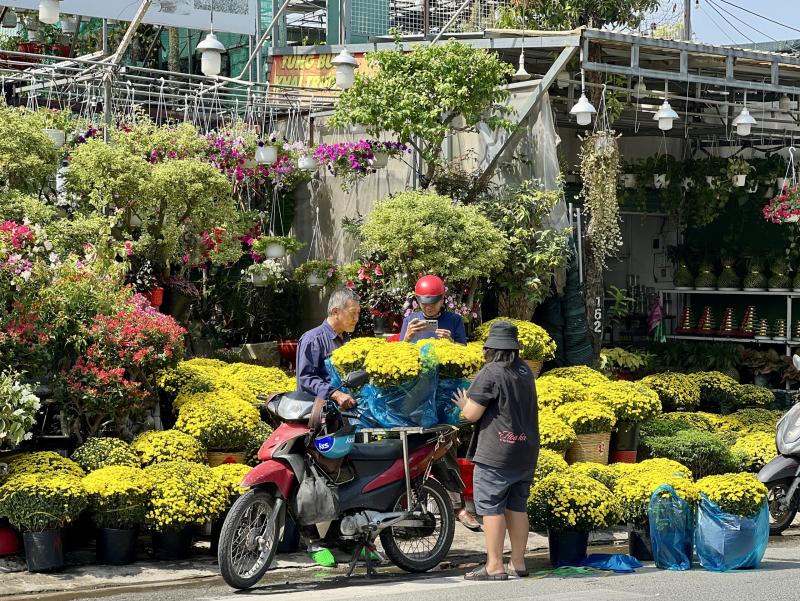 Hoa tết nở rực rỡ ở TP.HCM , người dân ủng hộ nông dân miền Tây - Ảnh 10.