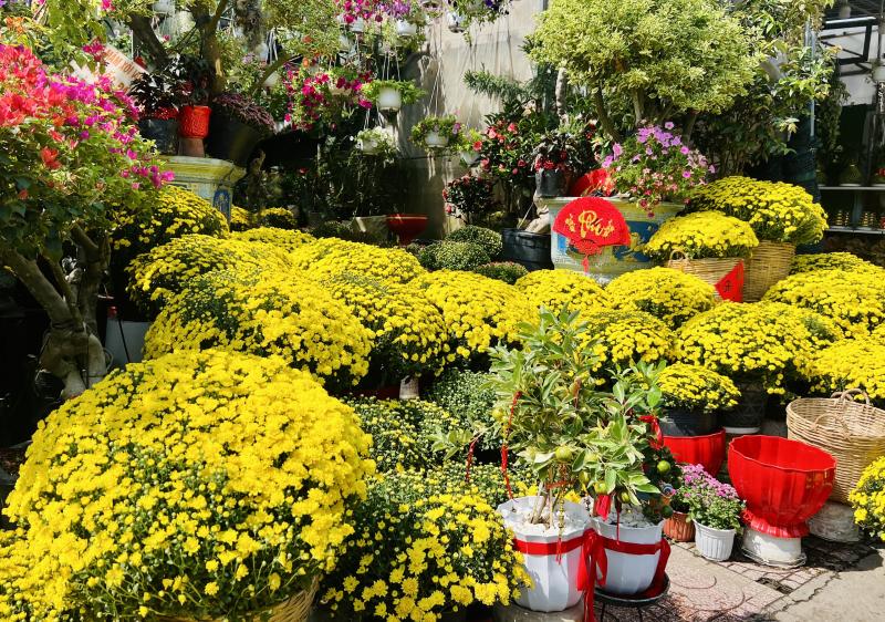 Hoa tết nở rực rỡ ở TP.HCM , người dân ủng hộ nông dân miền Tây - Ảnh 9.