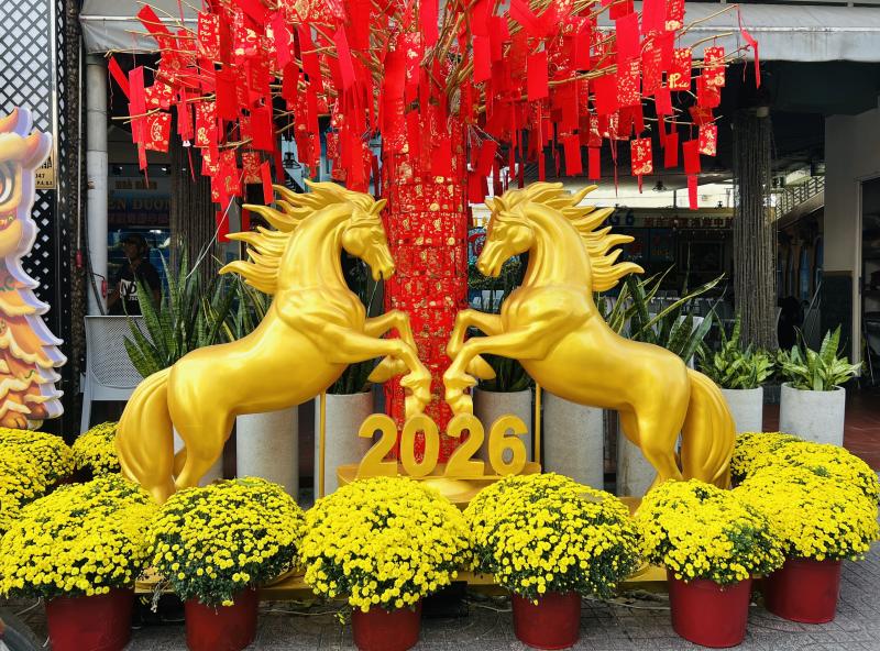 Hoa tết nở rực rỡ ở TP.HCM , người dân ủng hộ nông dân miền Tây - Ảnh 6.
