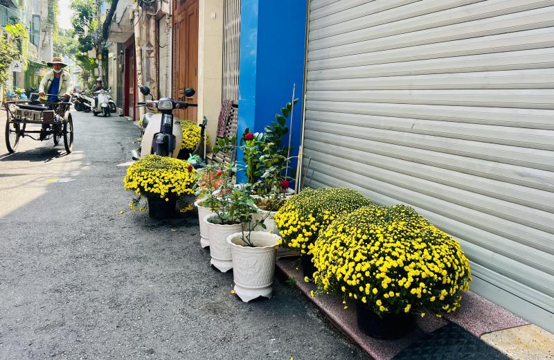 Hoa tết nở rực rỡ ở TP.HCM , người dân ủng hộ nông dân miền Tây - Ảnh 3.
