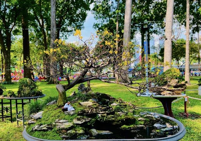 Hội hoa xuân, chợ hoa Tết Bính Ngọ ở TP.HCM có gì đặc biệt?- Ảnh 2.