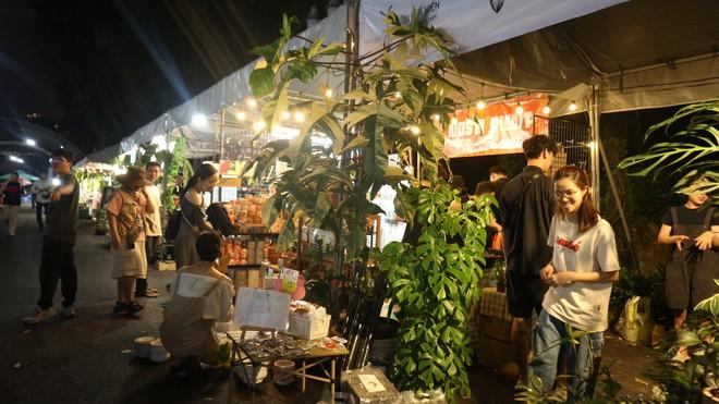 Loại cây nào từng có giá 1 tỉ đồng/lá, nay chỉ còn vài triệu đồng/cây?- Ảnh 4.