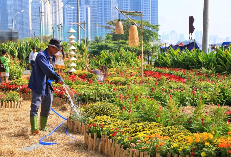 Vườn hoa tết 'mới toanh' gây sốt ngay trung tâm TP.HCM: Đông người đổ về check-in- Ảnh 12.