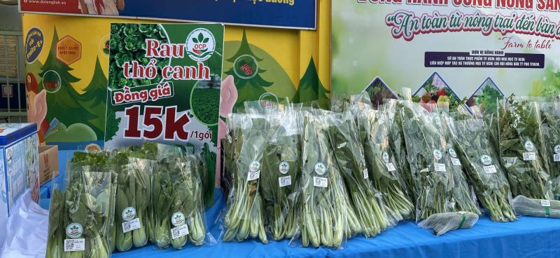 Rau sạch 'cháy hàng' giữa TP.HCM, từ vườn quê lên bàn ăn cuối tuần- Ảnh 2.