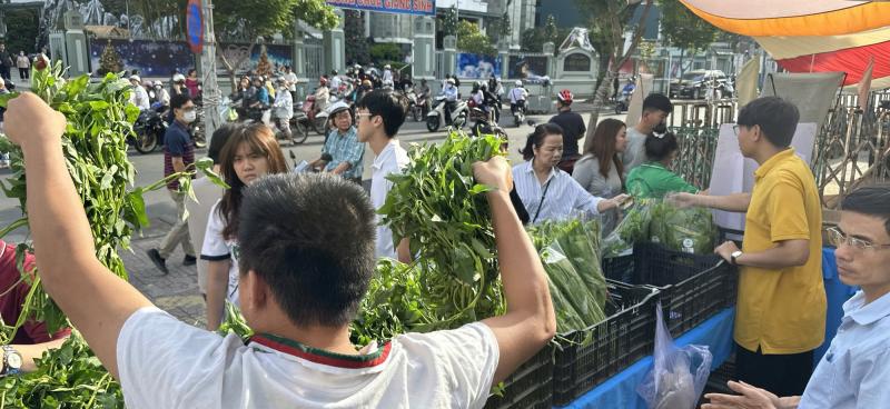 Rau sạch 'cháy hàng' giữa TP.HCM, từ vườn quê lên bàn ăn cuối tuần- Ảnh 1.