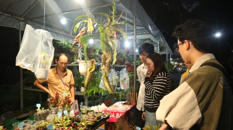 Loại cây nào từng có giá 1 tỉ đồng/lá, nay chỉ còn vài triệu đồng/cây?- Ảnh 7.