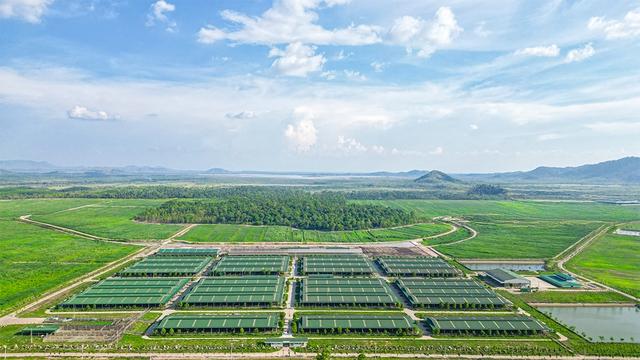 Kinh ngạc với hệ sinh thái nông nghiệp của tỉ phú Trần Bá Dương- Ảnh 2.