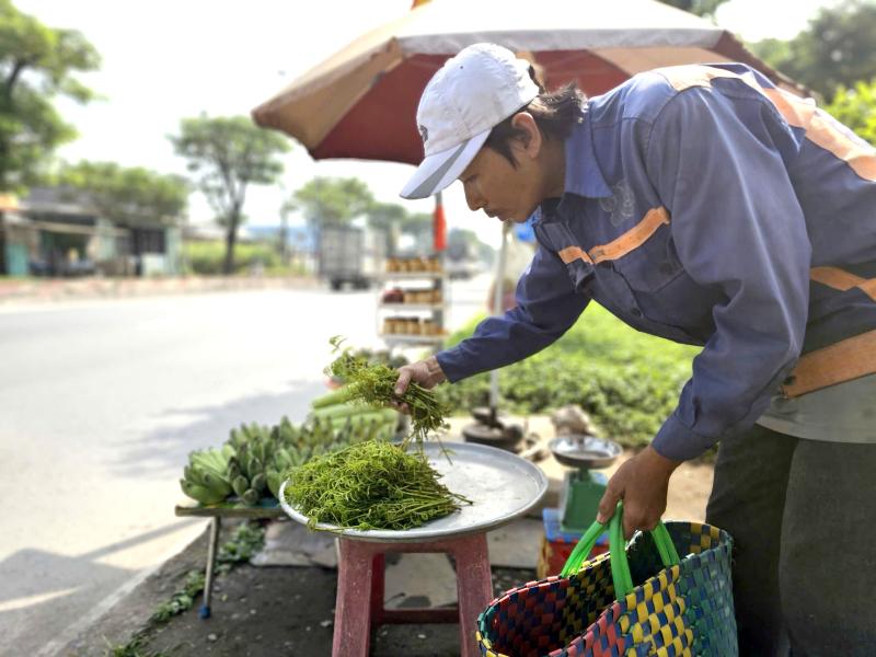Mưu sinh bằng rau choại:Những phận đời tự lực cánh sinh bên lề đường Trần Văn Giàu - Ảnh 10.