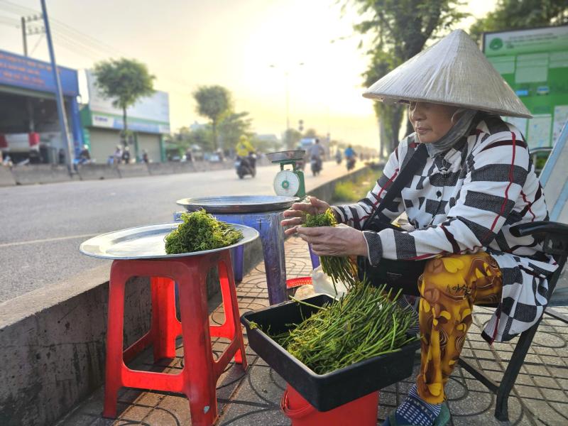 Mưu sinh bằng rau choại:Những phận đời tự lực cánh sinh bên lề đường Trần Văn Giàu - Ảnh 9.