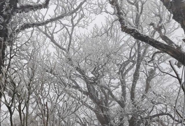 Vì sao, 2025 là một trong 3 năm nóng nhất lịch sử dù có La Nina?  - Ảnh 2.