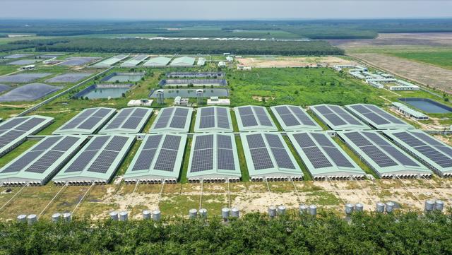 BAF Việt Nam: Cơ hội 'lội ngược dòng' sau chu kỳ biến động  của ngành chăn nuôi- Ảnh 3.