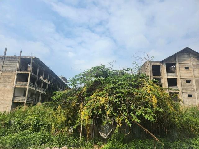 Trường học TP.HCM: Nơi quá tải, xuống cấp, nơi tuyển không đủ chỉ tiêu - Ảnh 4.