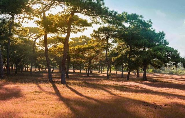 Gia Lai chấp thuận dự án sân golf Đăk Đoa hơn 1.150 tỉ đồng- Ảnh 1.