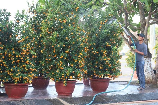 Đưa hàng Tết ra đảo Lý Sơn: Không để thiếu hụt nguồn hàng phục vụ người dân- Ảnh 3.