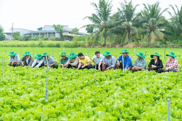 Phân bón Cà Mau tiên phong triển khai chuỗi mô hình canh tác năng suất cao- Ảnh 1.