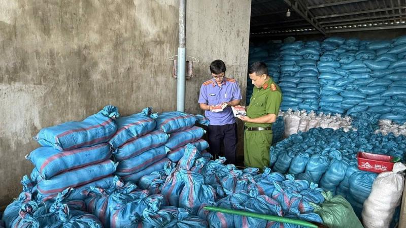 Sản xuất hơn 1.700 tấn muối i ốt giả: Khởi tố nữ giám đốc- Ảnh 1.
