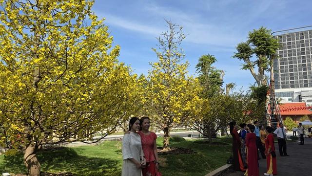 Dâng hương Bác Hồ giữa không gian xuân trang nghiêm ở Tỉnh ủy Đồng Nai - Ảnh 3.