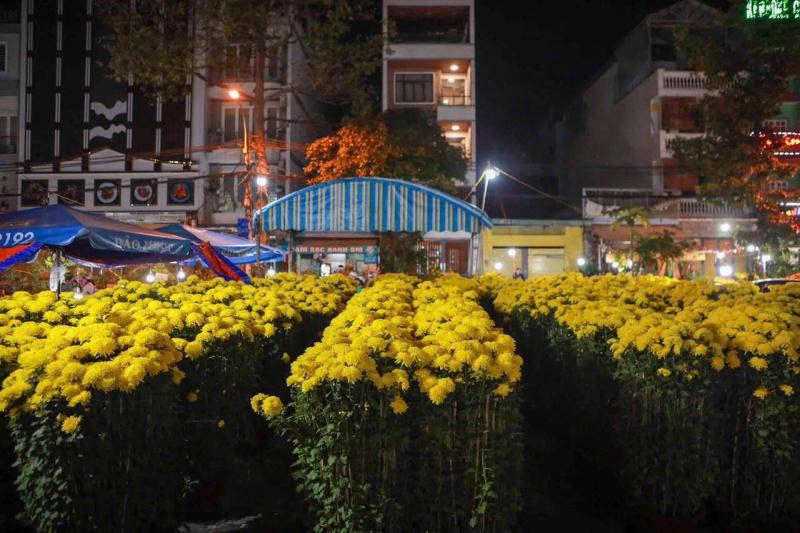 Gia đình 5 người sống 'dã chiến', đánh cược vào 10 ngày bán hoa tết - Ảnh 2.