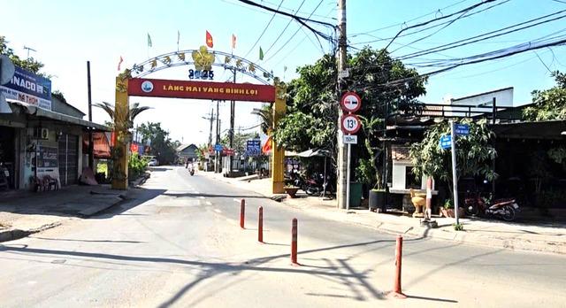 Người trồng mai Bình Lợi lo lắng vì mai vàng ế ẩm, vận chuyển khó khăn - Ảnh 2.