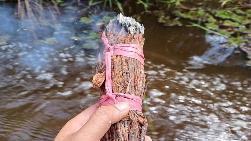 Gác kèo ong U Minh Hạ: Nghề 'mời ong về ở' giữ hồn rừng tràm   - Ảnh 6.
