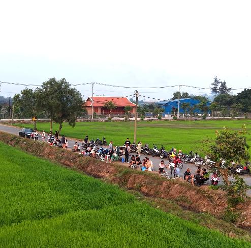 Cánh đồng lúa Xuân Thới Sơn: Điểm đến check in lý tưởng cho giới trẻ - Ảnh 2.